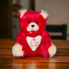 Beautiful Mini Teddy Bear with Heart