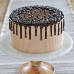 Chocolate Rich Cake [1kg]
