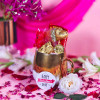 Golden Cup Choco Hamper