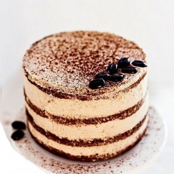 Tiramisu Cake